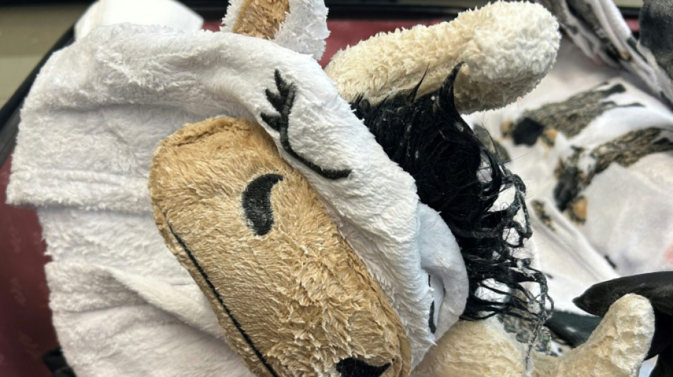 Alleged smuggler had meth-soaked cow onesie in suitcase: US officials