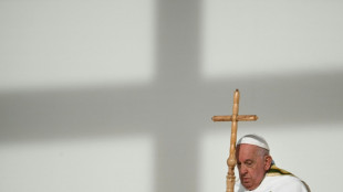 El papa condena un uso "inmoral" de la fuerza en Líbano y Gaza