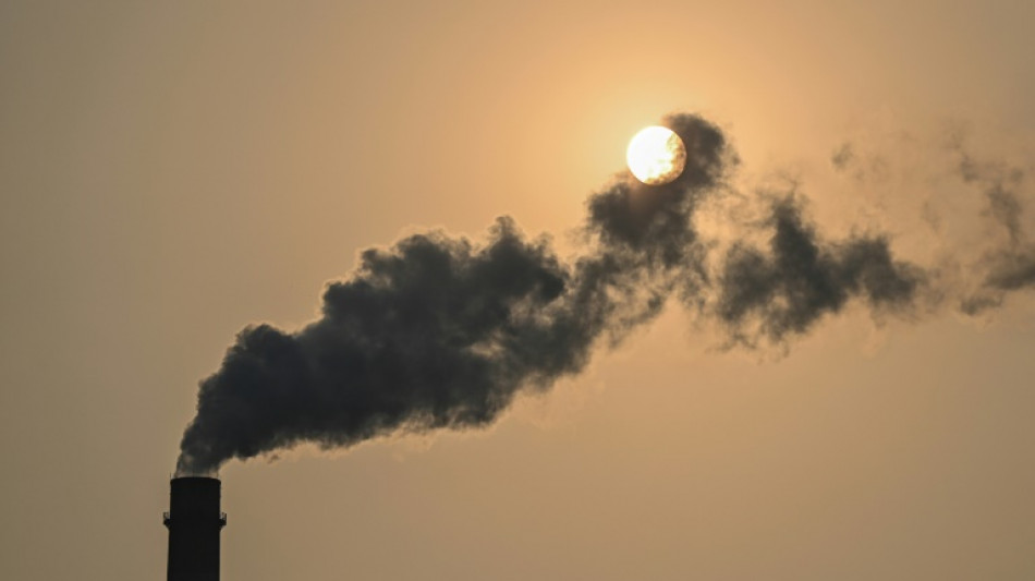 Experts back more robust US estimates of social cost of carbon