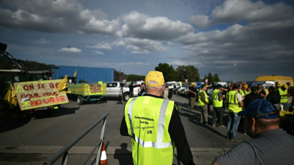 French farmers threaten 'chaos' over proposed EU-Mercosur deal