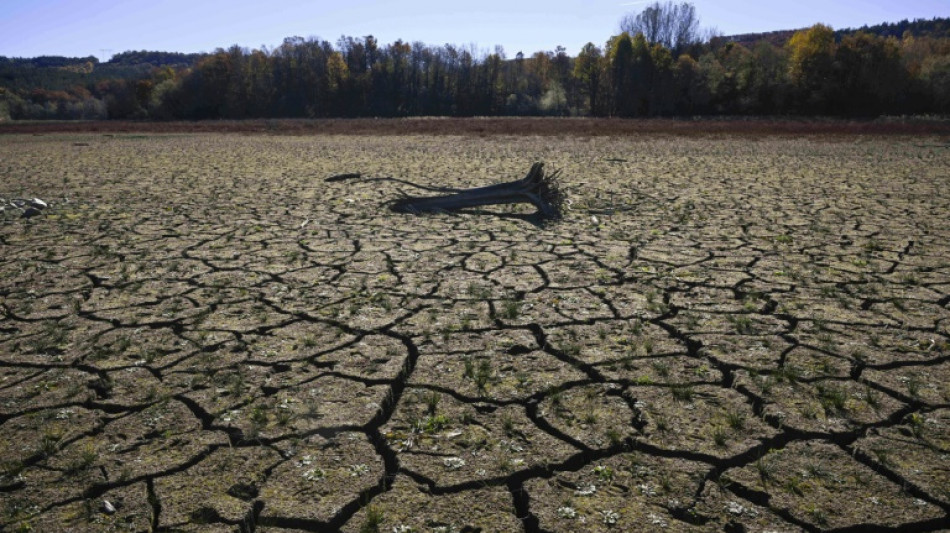 Las sequías de larga duración serán la "nueva normalidad" climática, advierte la ONU