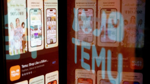 EU questions shopping app Temu over illegal products risk