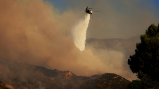 Miles de evacuaciones por feroz incendio forestal que avanza en Malibú