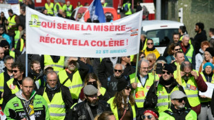 A deux mois de la présidentielle, la vie chère ravive la colère de "gilets jaunes"