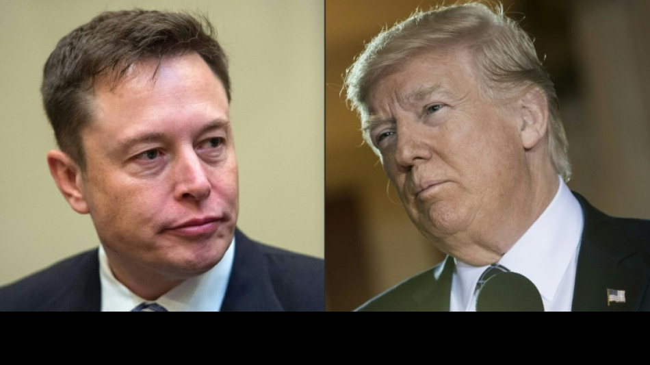 Milliardär Musk bestreitet Spenden von 45 Millionen Dollar monatlich für Trump