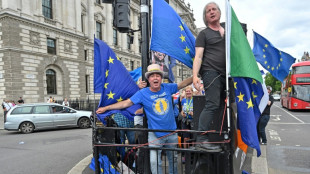 'Noisy' anti-Brexit protester silenced outside UK parliament