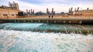 Dilemme saoudien, dessaler l'eau dans le désert malgré le coût écologique