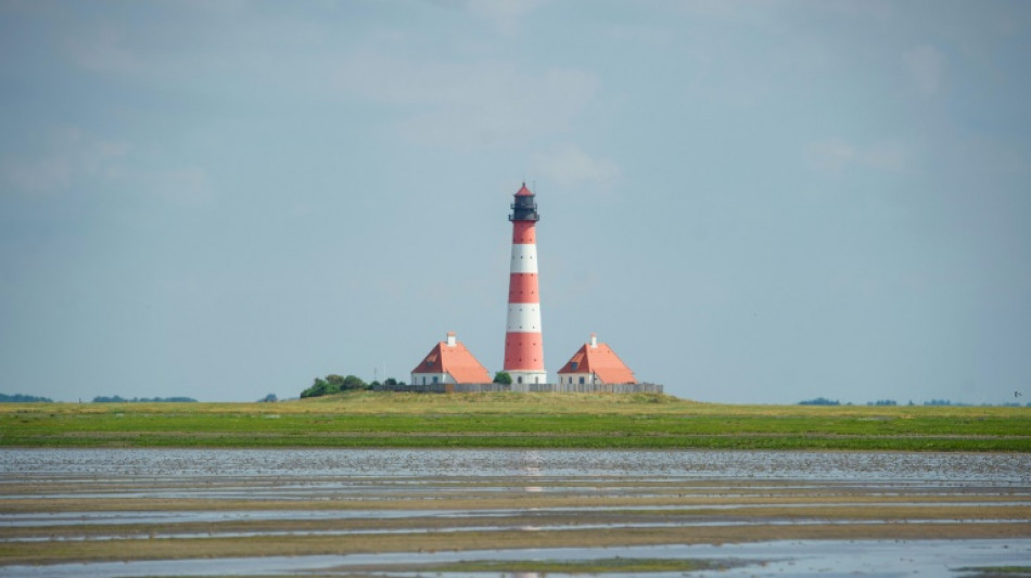 In Schlickloch versunkene Watterwanderin in Schleswig-Holstein vor Flut gerettet