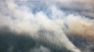 Más de un millón de hectáreas de bosques se incendiaron en Rusia