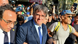 "Vive la Catalogne libre!": après sept ans d'exil, Puigdemont réapparaît en Espagne, et disparaît à nouveau