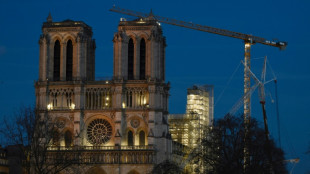 Notre-Dame de París revela su corsé de hierro