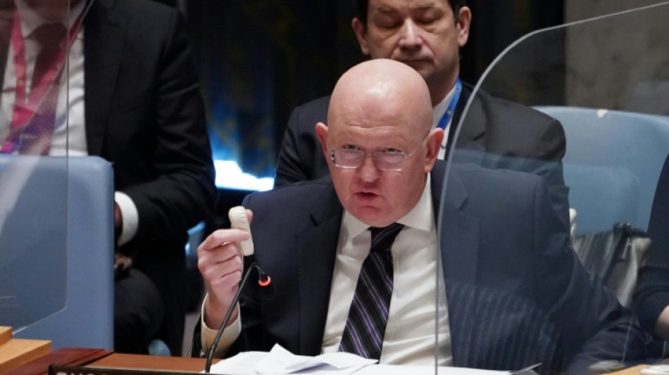 Rusia bloquea una petición en el Consejo de Seguridad de la ONU de investigar una supuesta masacre en Malí