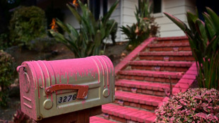 What is the pink stuff coating fire-ravaged Los Angeles?