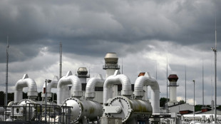 EU signals shifts towards gas price cap