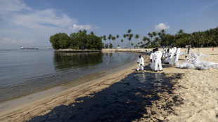 Corsa contro il tempo a Singapore per pulire spiagge da petrolio