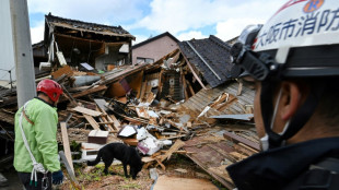 Ruin and rescue dogs in quake-ravaged Wajima