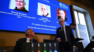 Trio win chemistry Nobel for 'quantum dots' after leak