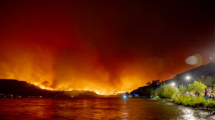 Canada wildfires inflict brutal toll on tourism, other areas of economy