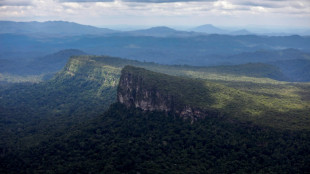 Amazon Indigenous lands prevent disease, save billions: study