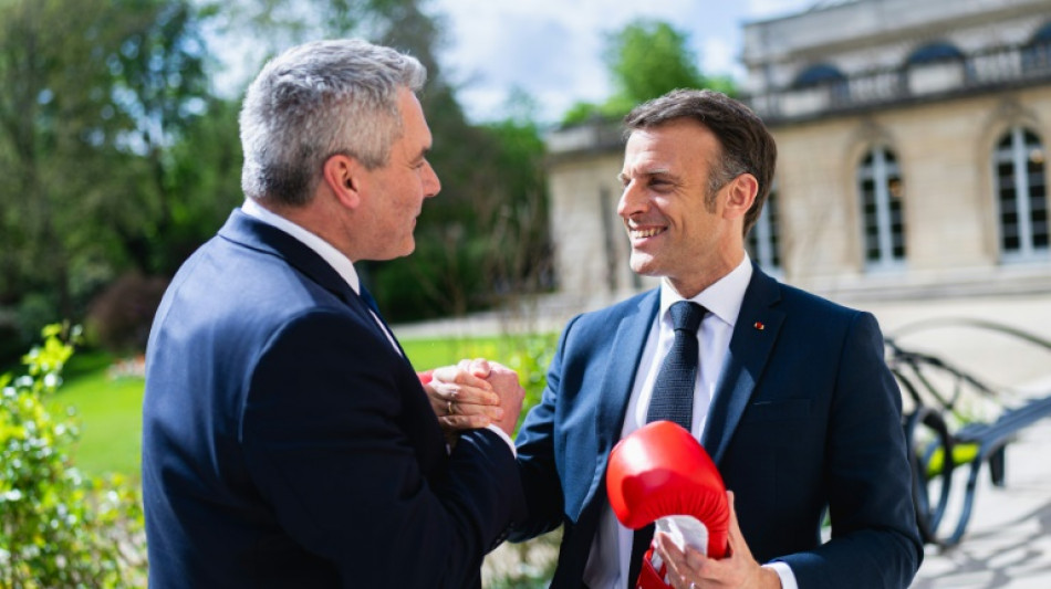 El jefe del gobierno austriaco regala guantes de boxeo a Macron