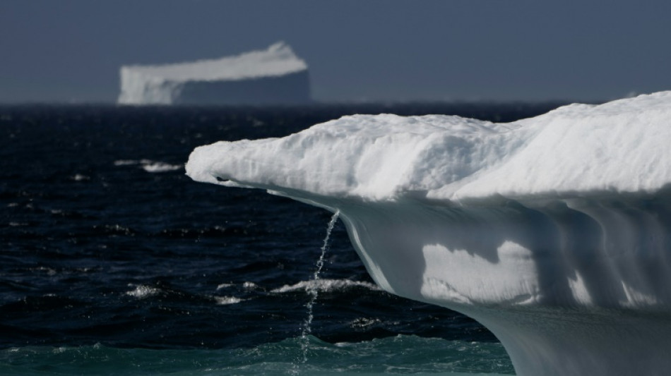 Groenlandia perdió más hielo de lo que se pensaba hasta ahora, según un estudio