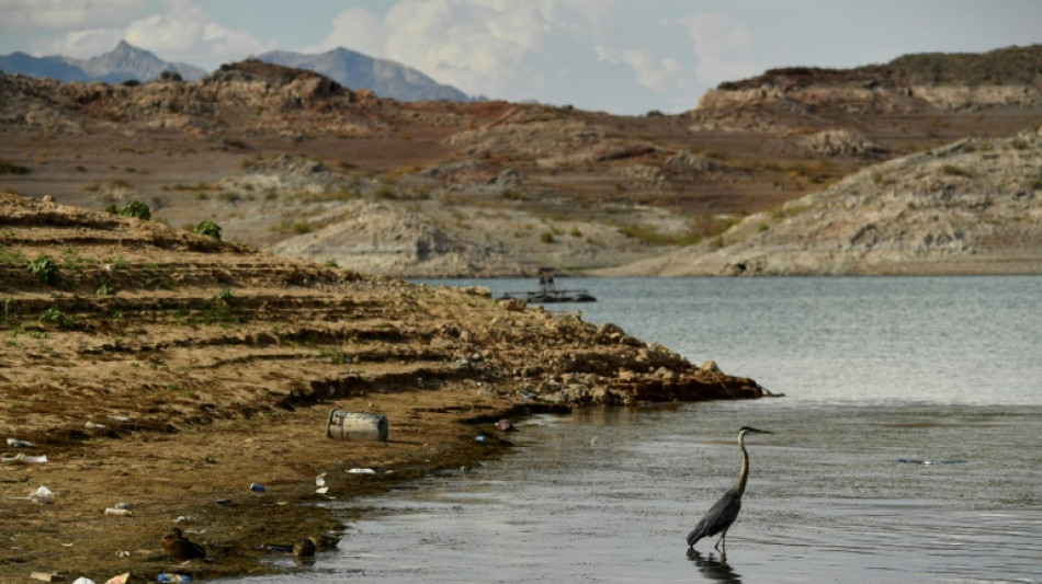 Sécheresse: Washington réduit les quotas d'eau pour certains Etats et le Mexique