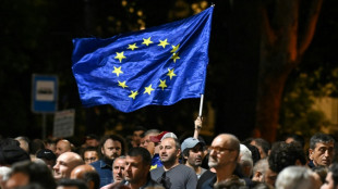 Pro-europäische Demonstranten in Georgien fordern Rücktritt der Regierung