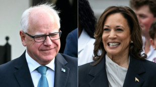 Russia intensifies disinformation ops against Harris campaign: Microsoft