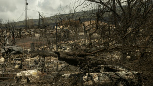 Mueren dos ciudadanos mexicanos en los incendios en Hawái