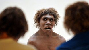 Scepticism about claim human ancestors nearly went extinct