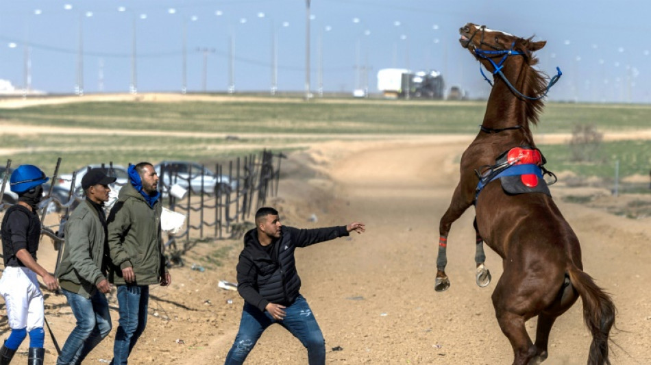 Beduinos organizan carreras de caballos en el desierto de Israel