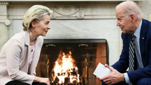 Biden y Von der Leyen quieren evitar competencia perjudicial sobre transición energética