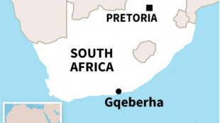 Gunmen kill eight at birthday party in S.Africa: police  