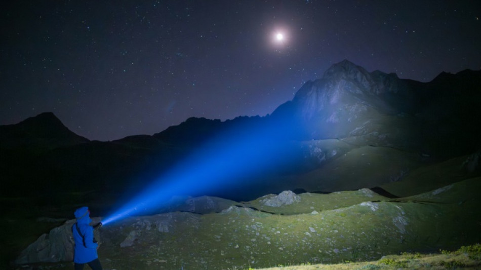 Dans les Alpes suisses, effrayer le loup pour mieux le protéger lui... et les troupeaux