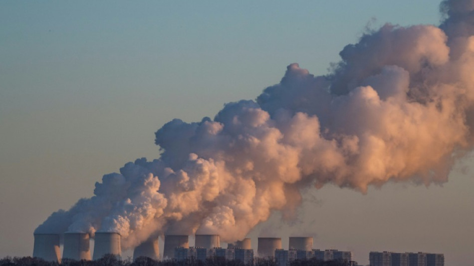 Erste Klimaaktivisten nach Blockade von Kraftwerk Jänschwalde in Polizeigewahrsam