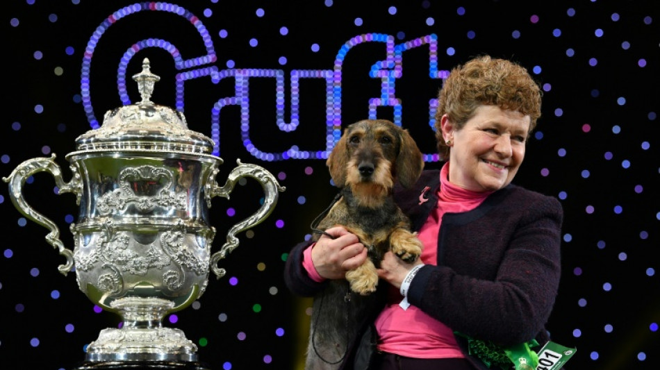 Crufts dog show returns after Covid break and Brexit