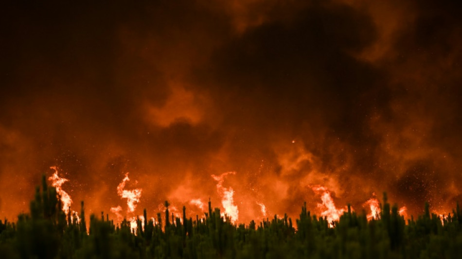 Climate change driving unprecedented forest fire loss