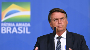 Bolsonaro dice que su partido contratará una auditoría de las elecciones de Brasil