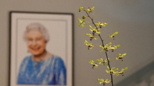 The 'majestic' Singapore orchid named in honour of Queen Elizabeth