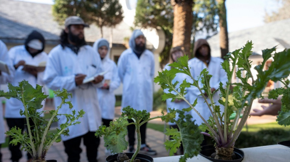 Una academia del cannabis apuesta por el desarrollo del sector en Sudáfrica