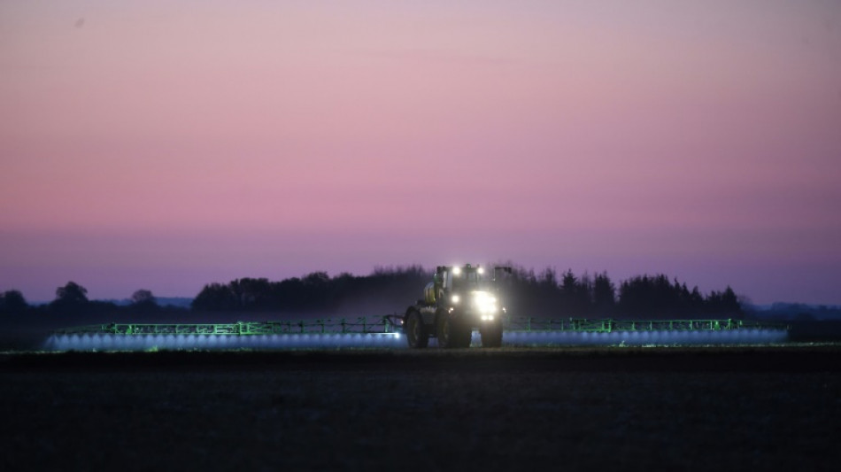 Bayer trabaja en la elaboración de un sustituto del glifosato