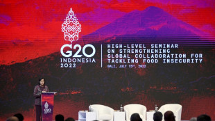 Los países occidentales condenan la guerra de Rusia contra Ucrania en la reunión del G20 en Indonesia