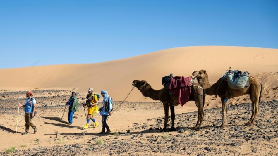 Marathon des Sables: La "caravane balai" à deux dromadaires