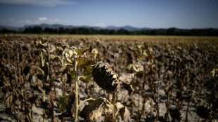 Climat: pour "sonner l'alarme", des chercheurs veulent une accélération des publications climatiques 