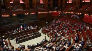 Ok Camera alla mozione della maggioranza, "soluzione due Stati