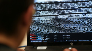 Italien meldet pro-russische Hackerangriffe auf Infrastruktur- und Regierungs-Websites