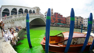 Un tronçon du Grand Canal de Venise vire au vert fluorescent