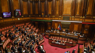 Via libera definitivo del Senato al ddl Lavoro