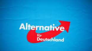 AfD setzt Bundesparteitag in Riesa mit Neuwahl der Parteispitze fort