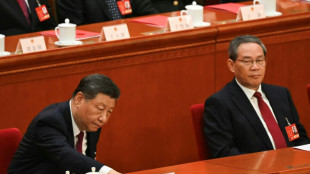 China wraps up key political meet with call for 'unrelenting struggle'